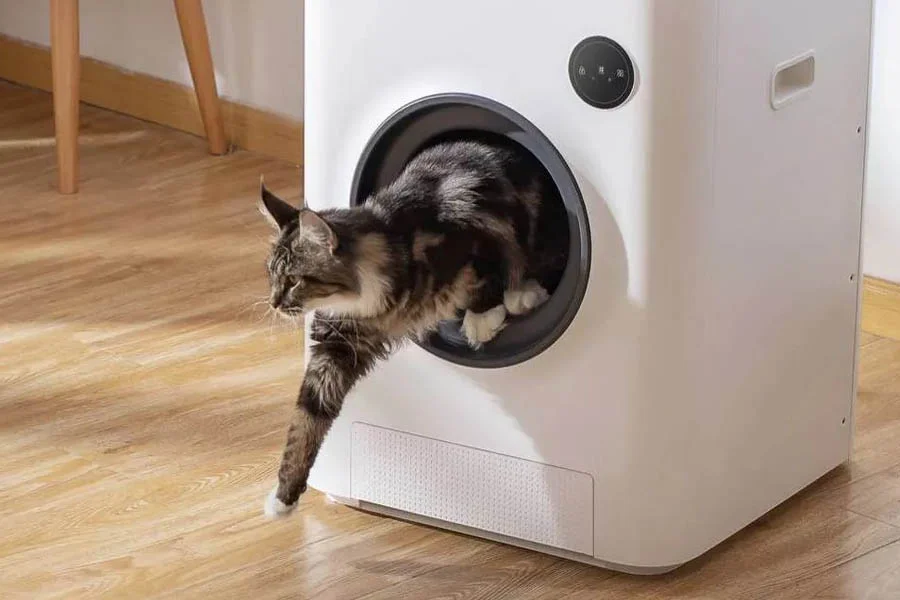 smell free litter box