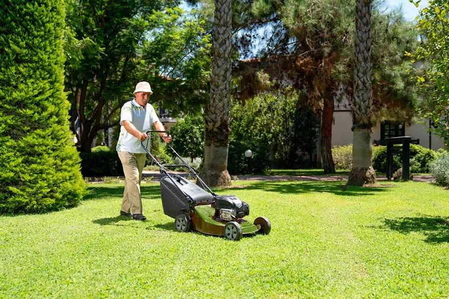 electric mowers reviews