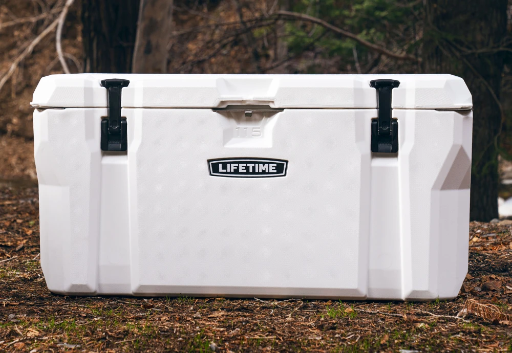 car ice chest cooler