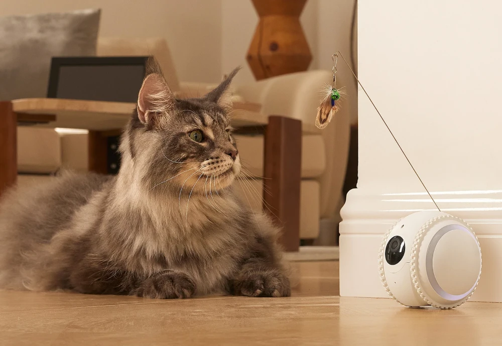 wireless pet camera