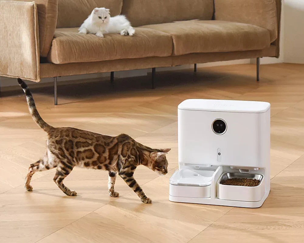 best cat feeder with camera